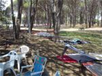 under the trees