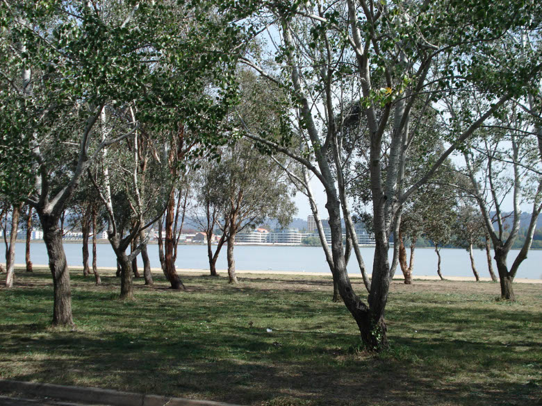 LakeBG5