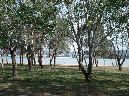 LakeBG5