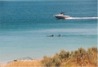 Lacepede Bay (click to enlarge)